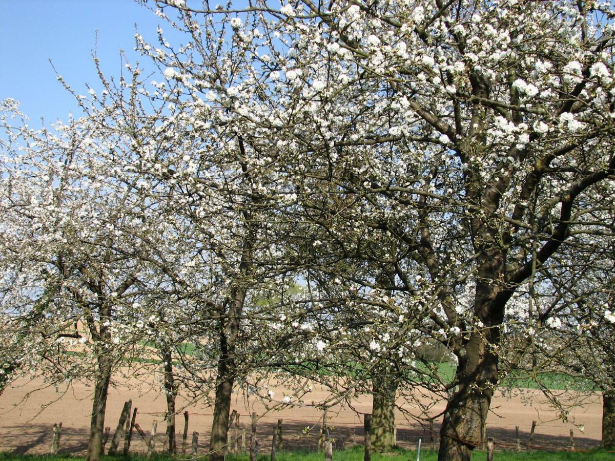 Gite Decouverte Alsace Kuhlendorf 외부 사진